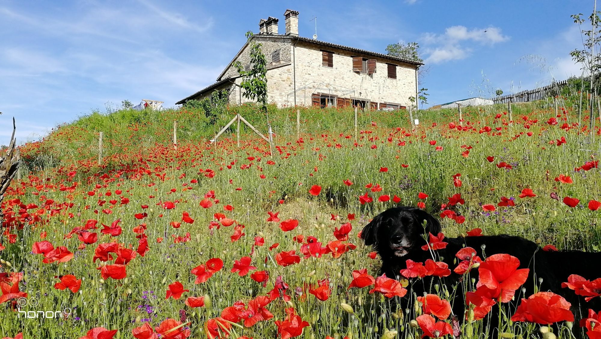 Bed and Breakfast Casale Le Orme Todi Exteriér fotografie